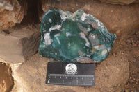 Polished One Side Polished Emerald Mtorolite Plates  x 2 From Zimbabwe