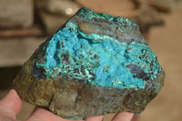 Natural Silica Chrysocolla On Dolomite Matrix Specimens x 3 From Congo