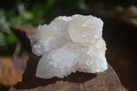 Natural White Spirit Cactus Quartz Clusters  x 12 From Boekenhouthoek, South Africa - Toprock Gemstones and Minerals 