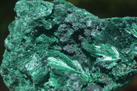 Natural Chatoyant Silky Malachite Specimens  x 2 From Congo - Toprock Gemstones and Minerals 