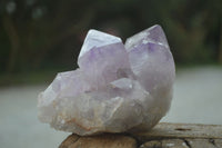 Natural Jacaranda Amethyst Clusters  x 3 From Zambia - Toprock Gemstones and Minerals 