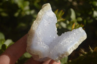 Natural Blue Lace Agate Geode Specimens  x 12 From Nsanje, Malawi