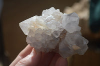 Natural Large White Cactus Flower Spirit Quartz Clusters x 12 From Boekenhouthoek, South Africa