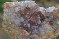 Natural Amethyst Crystal Specimens  x 3 From Zululand, South Africa - Toprock Gemstones and Minerals 