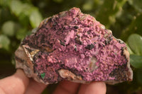 Natural Pink Salrose Cobaltion Dolomite Specimens  x 6 From Kakanda, Congo