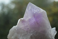 Natural Jacaranda Amethyst Clusters  x 3 From Zambia - Toprock Gemstones and Minerals 