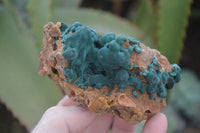 Natural Rare Ball Malachite On Quartz & Dolomite Specimens x 2 From Kambove, Congo