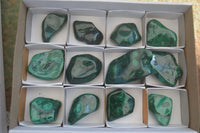 Polished Flower Banded Malachite Free Forms  x 12 From Congo - Toprock Gemstones and Minerals 