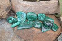 Polished Flower Banded Malachite Free Forms  x 12 From Congo - Toprock Gemstones and Minerals 