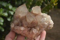 Natural Cascading Smokey Quartz Clusters x 2 From Luena, Congo