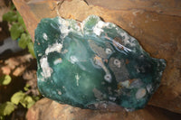 Polished One Side Polished Emerald Mtorolite Plates  x 2 From Zimbabwe