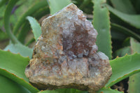 Natural Amethyst Crystal Specimens  x 3 From Zululand, South Africa - Toprock Gemstones and Minerals 