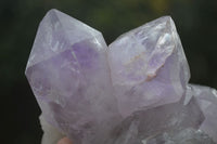 Natural Jacaranda Amethyst Clusters  x 3 From Zambia - Toprock Gemstones and Minerals 