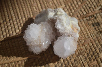 Natural Large White Cactus Flower Spirit Quartz Clusters x 12 From Boekenhouthoek, South Africa