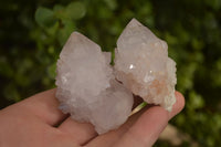 Natural White Cactus Flower Spirit Quartz Specimens x 12 From Boekenhouthoek, South Africa