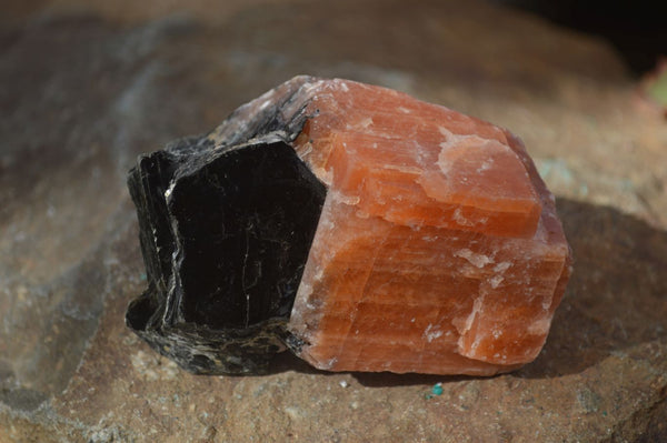 Natural New Sunset Orange Calcite Specimens x 24 From Spitzkop, Namibia