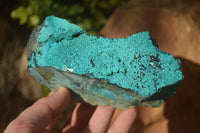 Natural Silica Chrysocolla On Dolomite Matrix Specimens x 3 From Congo