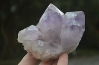 Natural Jacaranda Amethyst Clusters  x 3 From Zambia - Toprock Gemstones and Minerals 