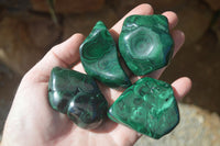 Polished Flower Banded Malachite Free Forms  x 12 From Congo - Toprock Gemstones and Minerals 