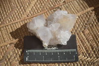 Natural Large White Cactus Flower Spirit Quartz Clusters x 12 From Boekenhouthoek, South Africa