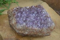 Natural Amethyst Crystal Specimens  x 3 From Zululand, South Africa - Toprock Gemstones and Minerals 