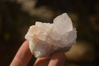 Natural White Cactus Flower Spirit Quartz Specimens x 12 From Boekenhouthoek, South Africa