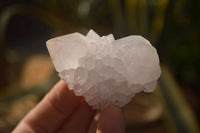 Natural White Cactus Flower Spirit Quartz Specimens x 12 From Boekenhouthoek, South Africa