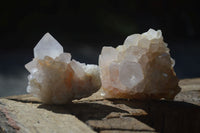 Natural White Spirit Cactus Quartz Clusters  x 12 From Boekenhouthoek, South Africa - Toprock Gemstones and Minerals 