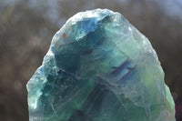 Polished Watermelon Fluorite Standing Slab  x 1 From Uis, Namibia