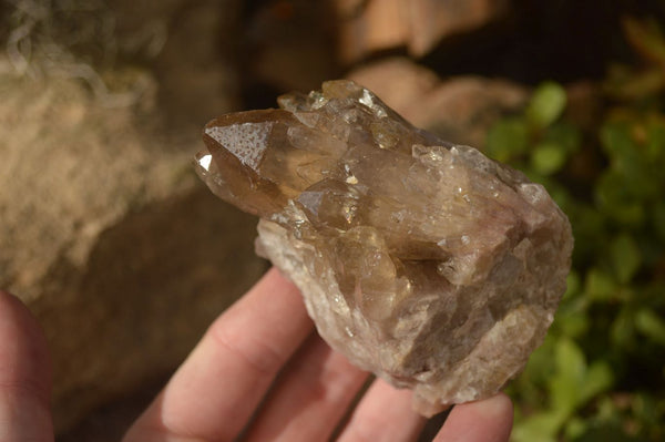 Natural Mixed Selection Of Quartz Specimens x 5 From Southern Africa