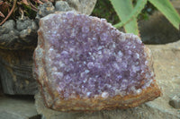 Natural Amethyst Crystal Specimens  x 3 From Zululand, South Africa - Toprock Gemstones and Minerals 