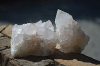 Natural White Spirit Cactus Quartz Clusters  x 12 From Boekenhouthoek, South Africa - Toprock Gemstones and Minerals 