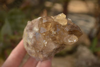 Natural Mixed Selection Of Quartz Specimens x 5 From Southern Africa