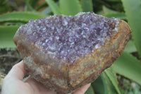 Natural Amethyst Crystal Specimens  x 3 From Zululand, South Africa - Toprock Gemstones and Minerals 