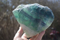 Polished Watermelon Fluorite Standing Slab  x 1 From Uis, Namibia