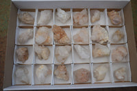 Natural Small Mixed Quartz Clusters  x 24 From Madagascar - Toprock Gemstones and Minerals 