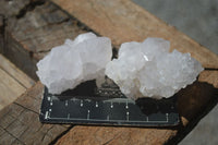 Natural White Spirit Cactus Quartz Clusters  x 12 From Boekenhouthoek, South Africa - Toprock Gemstones and Minerals 