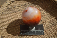 Polished Carnelian Agate Spheres  x 2 From Madagascar