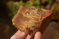 Natural Honey Aragonite Etched & Cobbed Pieces  x 6 From Namibia