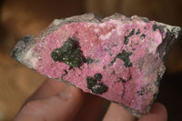 Natural Pink Salrose Cobaltion Dolomite Specimens  x 6 From Kakanda, Congo