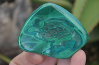 Polished Flower Banded Malachite Free Forms  x 12 From Congo - Toprock Gemstones and Minerals 