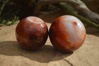 Polished Carnelian Agate Spheres  x 2 From Madagascar