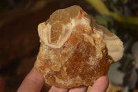 Natural Honey Aragonite Etched & Cobbed Pieces  x 6 From Namibia