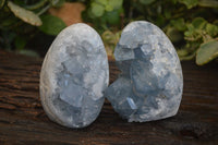 Polished Blue Celestite Standing Free Forms  x 2 From Sakoany, Madagascar - Toprock Gemstones and Minerals 