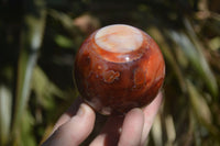 Polished Carnelian Agate Spheres  x 2 From Madagascar