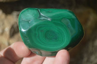 Polished Flower Banded Malachite Free Forms  x 12 From Congo - Toprock Gemstones and Minerals 