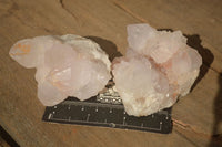 Natural White Cactus Flower Spirit Quartz Specimens x 12 From Boekenhouthoek, South Africa