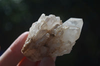 Natural Small Mixed Quartz Clusters  x 24 From Madagascar - Toprock Gemstones and Minerals 