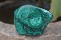 Polished Flower Banded Malachite Free Forms  x 12 From Congo - Toprock Gemstones and Minerals 