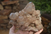 Natural White Phantom Smokey Quartz Cluster x 1 From Luena, Congo